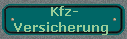  Kfz-
Versicherung 